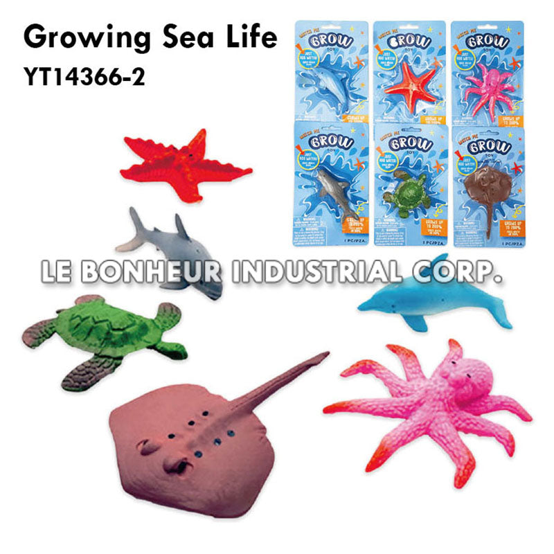 Growing Sea Life