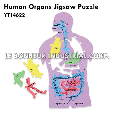 Human Organs Jigsaw Puzzle