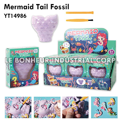 Mermaid Tail Fossil