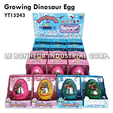 Growing Dinosaur Egg