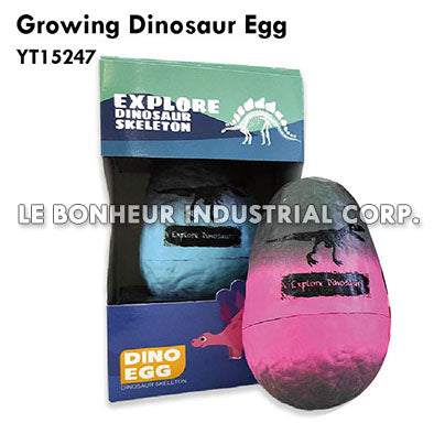 Growing Dinosaur Egg