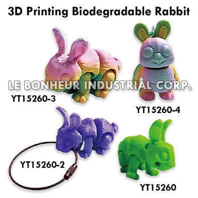 3D Printing Biodegradable Rabbit