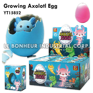 Growing Axolotl Egg