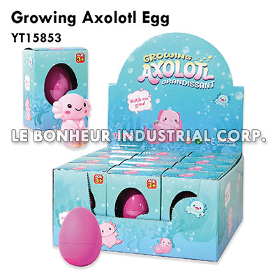 Growing Axolotl Egg