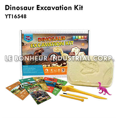 Dinosaur Excavation Kit