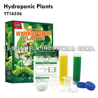 Hydroponic Plants