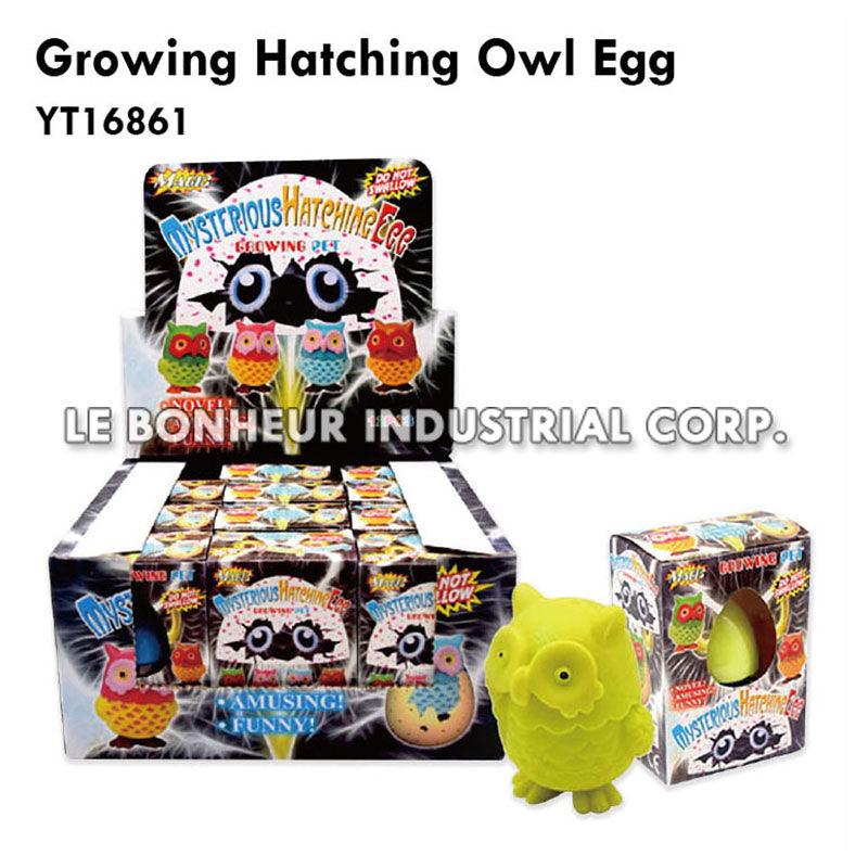 Growing Hatching Owl Egg