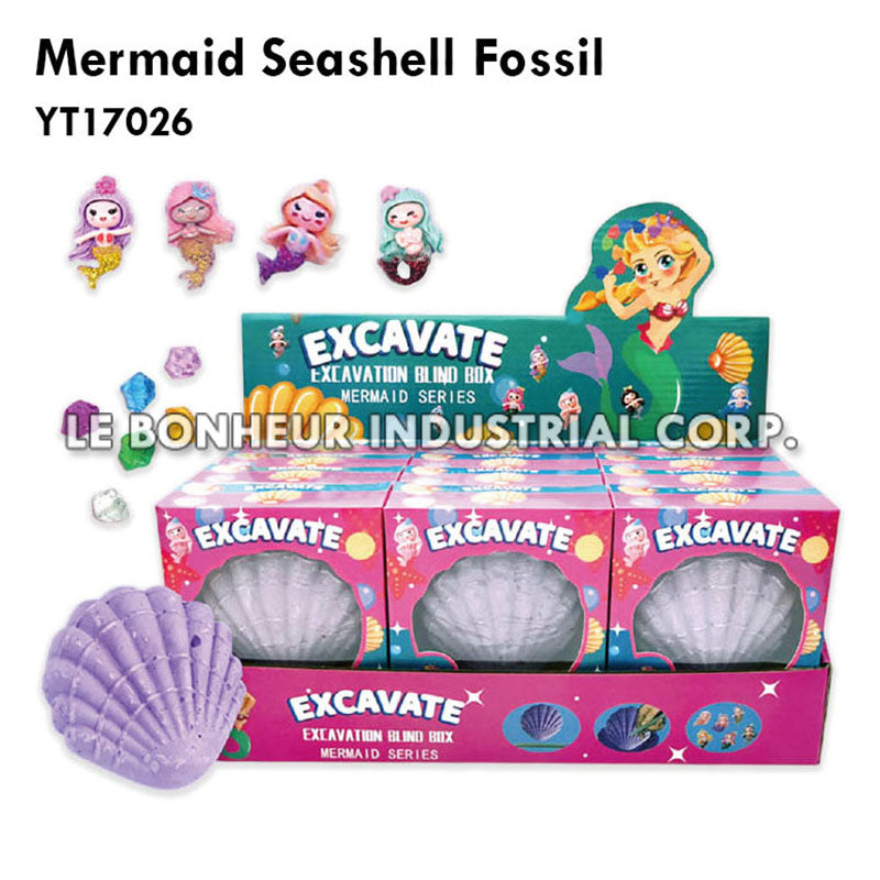 Mermaid Seashell Fossil