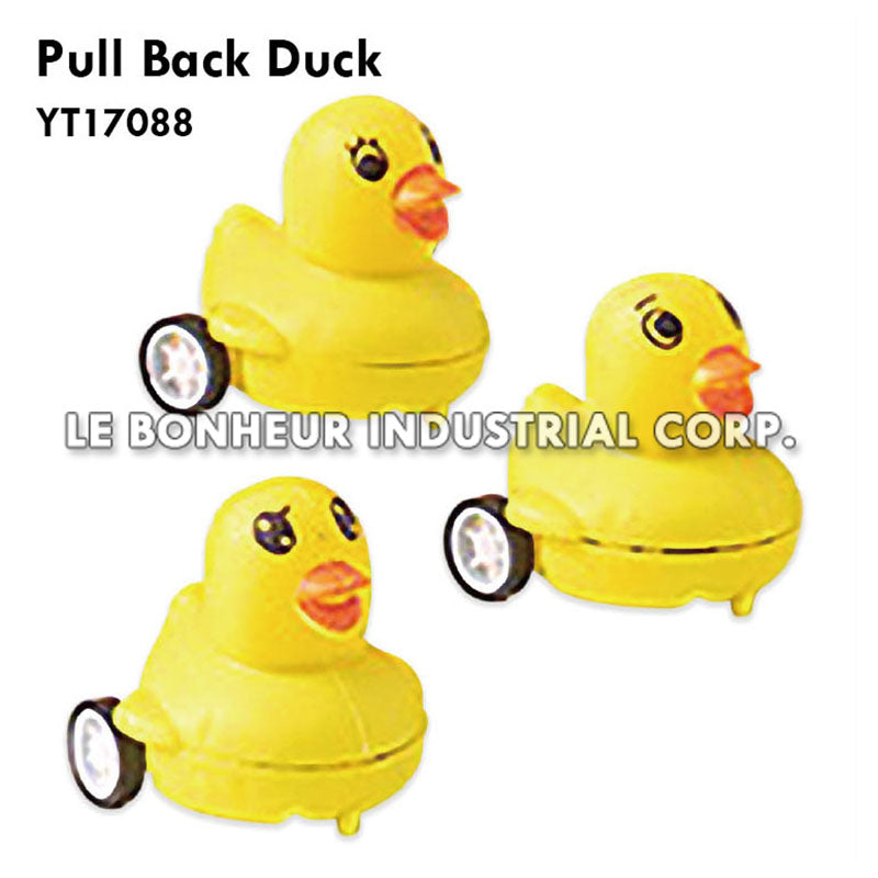 Pull Back Duck