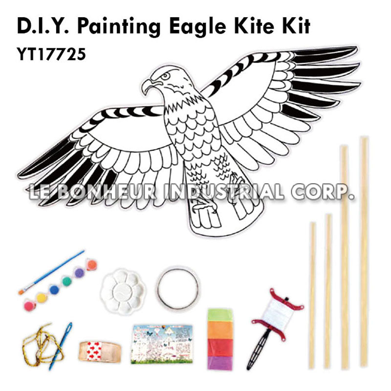 D.I.Y. Painting Eagle Kite Kit