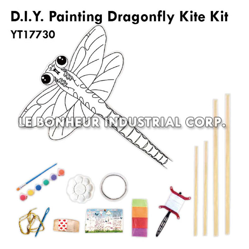 D.I.Y. Painting Dragonfly Kite Kit