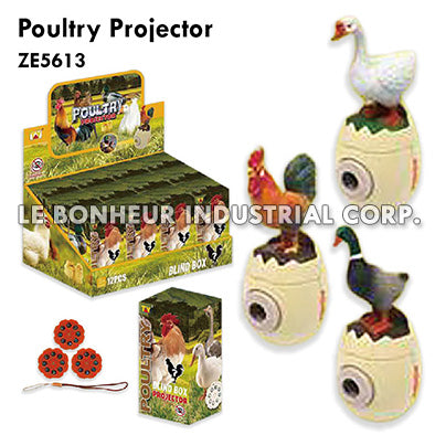 Poultry Projector