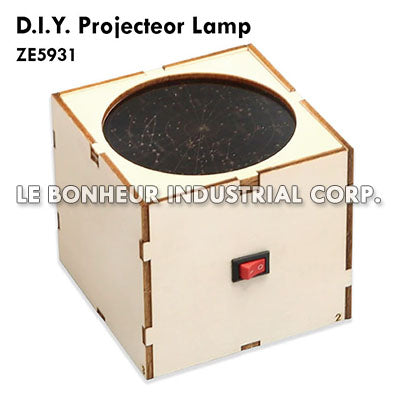 D.I.Y. Projector Lamp