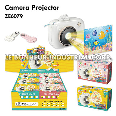Camera Projector