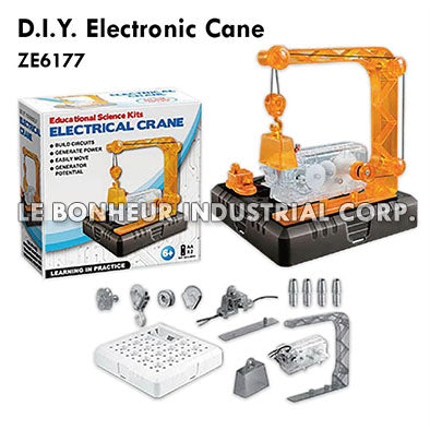 D.I.Y. Electronic Cane