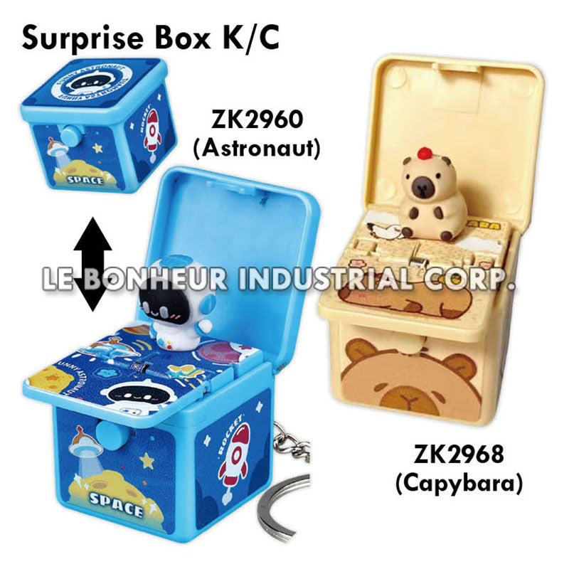 Capybara Surprise Box K/C