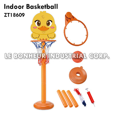 Indoor Basketball