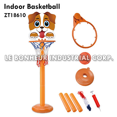 Indoor Basketball