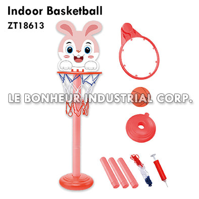 Indoor Basketball