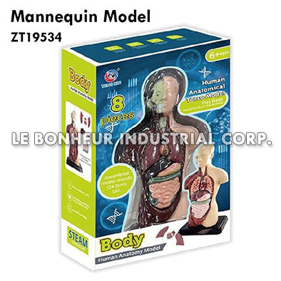 Mannequin Model