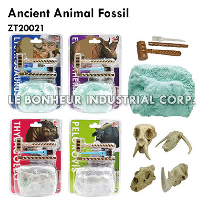 Ancient Animal Fossil