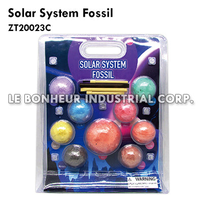 Solar System Fossil