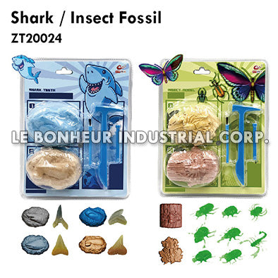 Shark / Insect Fossil