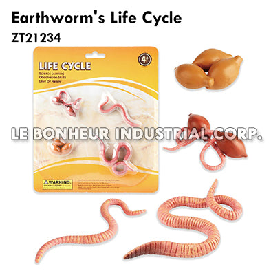 Earthworm's Life Cycle