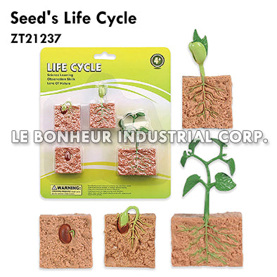 Seed's Life Cycle