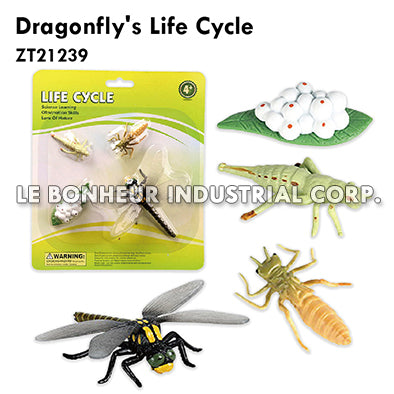 Dragonfly's Life Cycle