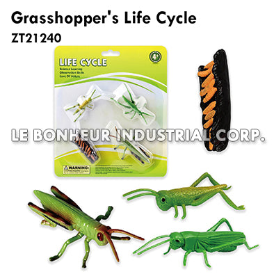 Grasshopper's Life Cycle