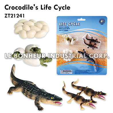 Crocodile's Life Cycle