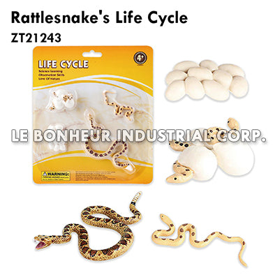 Rattlesnake'S Life Cycle