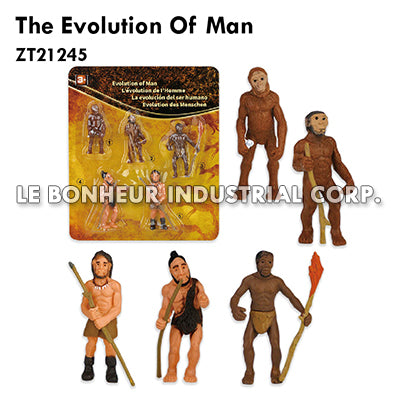 The Evolution Of Man