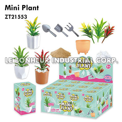 Mini Plant