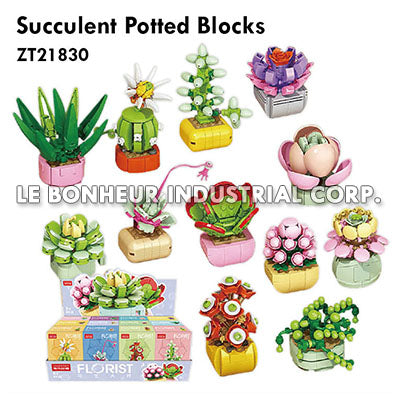 Succulent Potted Blocks