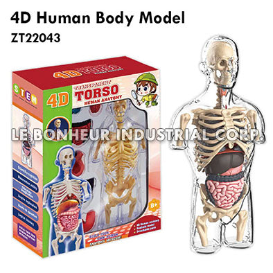 4D Human Body Model