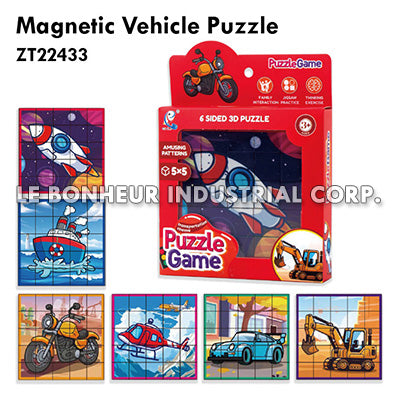 Magnetic Vehicle Puzzle