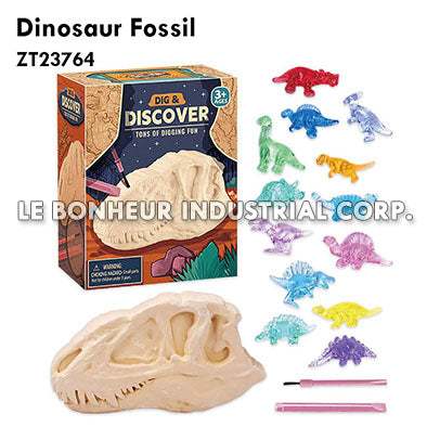 Dinosaur Fossil