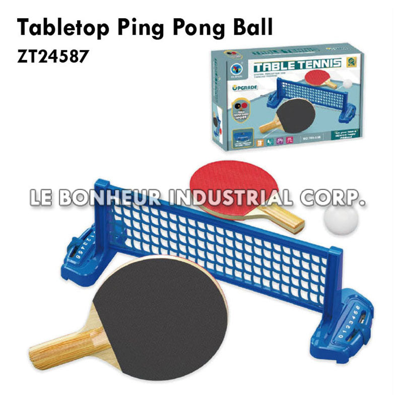 Tabletop Ping Pong Ball