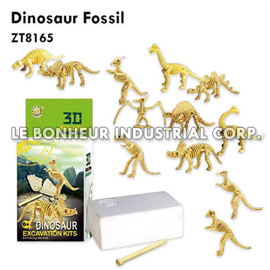 Dinosaur Fossil