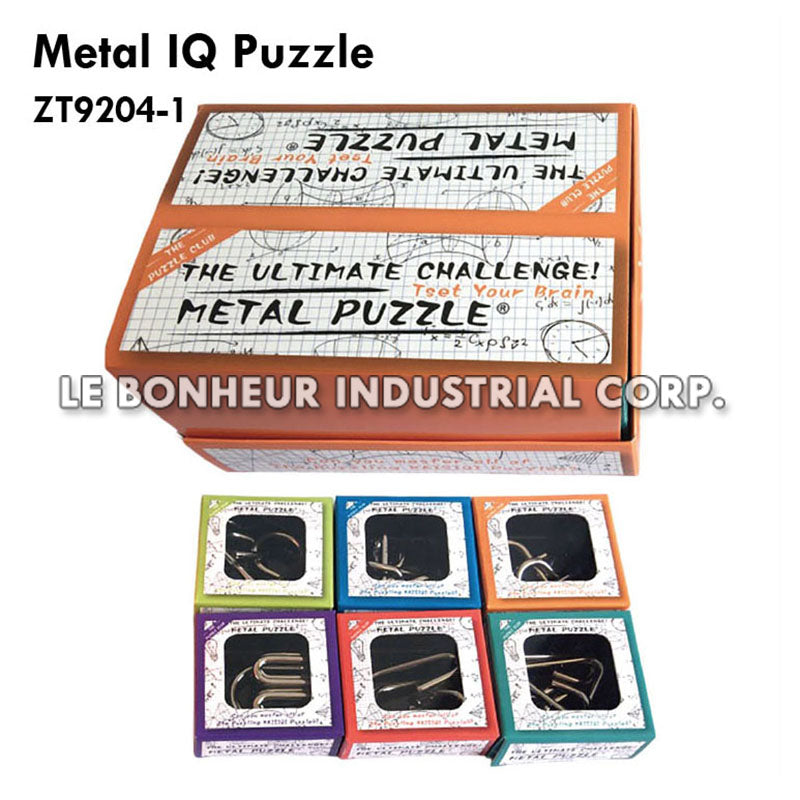Metal IQ Puzzle