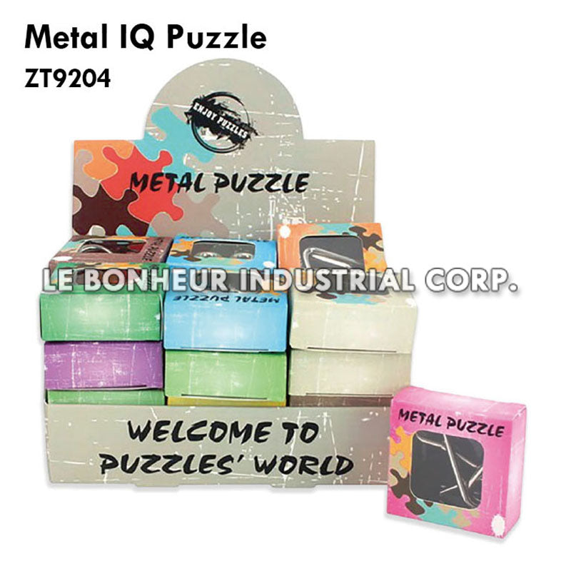 Metal IQ Puzzle